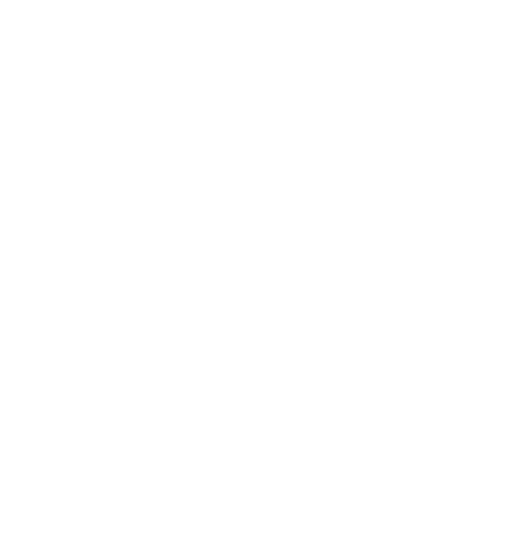 Gartner SRM 2 Gartner SRM 2